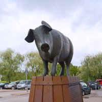 Бронзовая свинья в Тарту. Эстония :: Сергей Сомихин