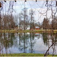 Апрель-2026 в Ораниенбауме. :: Лия ☼