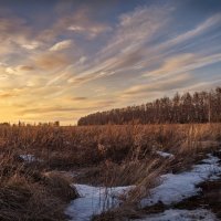 "Заросшее поле. Апрельским вечером"© :: Владимир Макаров