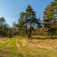 Весна, Весна, Весна ..... :: Андрей Дворников