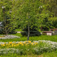 Клумба в парке города Армавир :: Игорь Сикорский