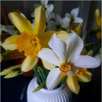 родня :: Сеня Белгородский