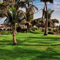 UAE 58 :: Arturs Ancans