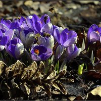 Идет работа :: Aleksandr Gal