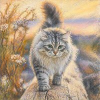 Удивительные существа :: Денис Бочкарёв