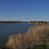 **** :: Виктор 