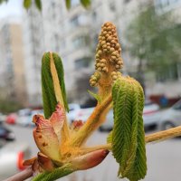 ,,, :: Сергей Тимоновский