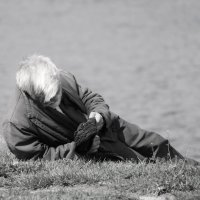 ДУМЫ :: Виктор Никитенко