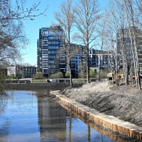 Стрелка Охты и Оккервиля... :: Юрий Велицкий