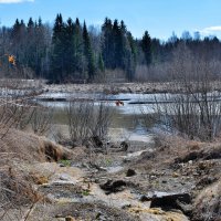 Пробуждение природы. :: Владимир Мигонькин