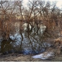 Весенние отражения. :: Михаил К