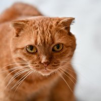 Чита :: Вадим 