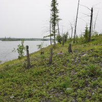 *** :: Александр Хаецкий