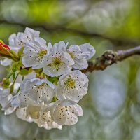 (°-°) :: Jakob Dick