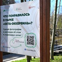 *** :: Юрий Велицкий