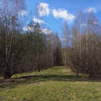 Мои всё ещё апрельские тезисы :: Андрей Лукьянов