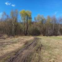 Мои всё ещё апрельские тезисы :: Андрей Лукьянов