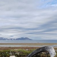 Я волк)))) :: Татьяна Чаброва