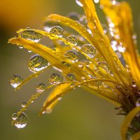 Утром... :: Андрей Пристяжнюк