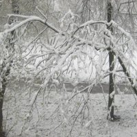 Зима пришла 27 апреля :: Елена Семигина