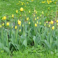 Москва. Весна в парке "Зарядье". :: Наташа *****