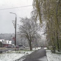 Случился апрельский снегопад :: Сергей Цветков