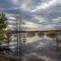 Половодье :: Сергей Цветков