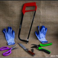 САДОВЫЙ ИНВЕНТАРЬ. :: Александр Дмитриев