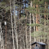 Tallinn, Fotograaf Arkadi Baranov, FEP, Estonia :: Аркадий  Баранов Arkadi Baranov