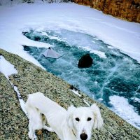 Друг :: Георгиевич 