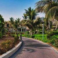 UAE 59 :: Arturs Ancans