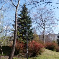 Пейзажи  Крыма :: Валентин Семчишин