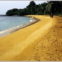 Пустынный пляж :: Владимир Попов