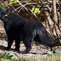 "Нравлюсь?" :: Олег 