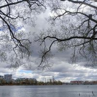 Узорность на фоне тучи :: Мария Васильева