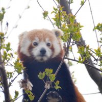 лейпциг2026 :: Алексей Короткевич