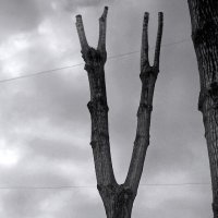 *** :: Сергей Григорьев