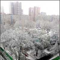 Сюрпризы апреля :: Ольга Довженко