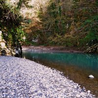 Хостинский каньон :: Мишель71 