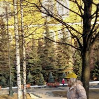 *** :: Владимир Захаров