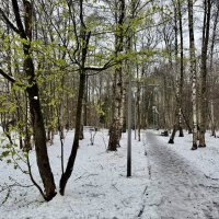 В юном месяце апреле… :: Любовь 