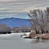 Весна :: Венера Чуйкова