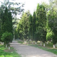 Дорожка в парке :: Дмитрий Никитин