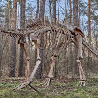 Дино Парк :: Александр Леонов