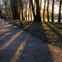 Вечер в парке. :: Игорь Викторов