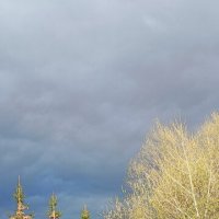 Храм в тени деревьев :: Оксана Корзун