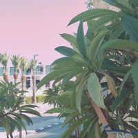 14  КЛОС (139) :: CLOSE WAYS ALL