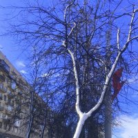 к майским праздникам готовы :: zavitok *