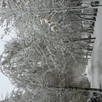 Снег в апреле :: Pippa 