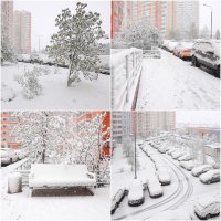 Утром 27 апреля 2026 года :: Валерий Иванович